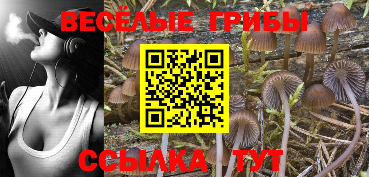 Галлюциногенные грибы ЛСД Нижний Новгород