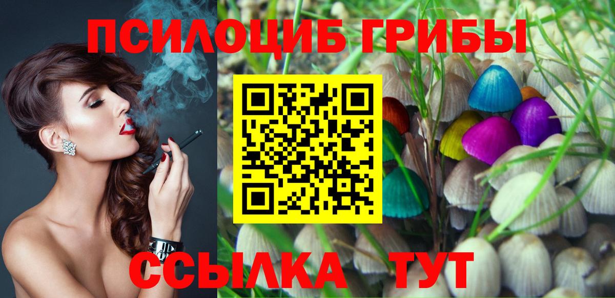 Нижний Новгород  где продают   Вход с VPN  Псилоцибиновые грибы мицелий 